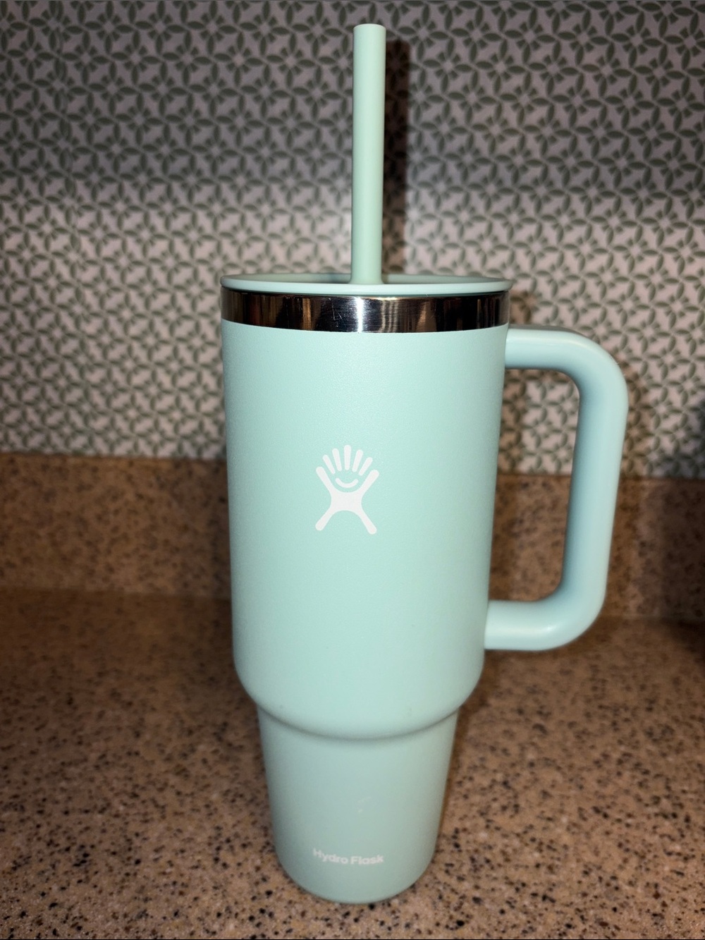 Hydro Flask Mint Green Insulated Tumbler with Straw and Handle